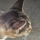 흥인농장 이미지