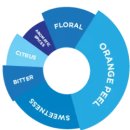 (주)블루오션코리아 이미지