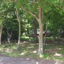 선두바다캠핑장 이미지