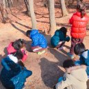 한울숲유치원 Daum카페