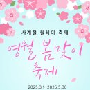🌸 2025 영월 봄맞이 축제: 청령포에서 만나는 봄빛 낭만 여행