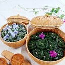 🌿 봄 내음 가득! 3040 주부 필수 홈베이킹! 건강 간식 쑥절편으로 힐링 타임 즐겨요 🌿