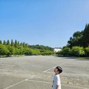 배영중학교 | [24&#39; Summer] 천안 미취학 아동이 가기 좋은 워터파크, 상록리조트 아쿠아피아, 내돈내산 후기🌊