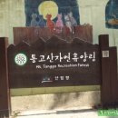 통고산자연휴양림 이미지