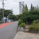 청룡식당 | 섬진강 따라 즐기는 전남 광양 청룡식당 재첩국과 재첩회 (내돈내산솔직후기)