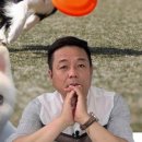 낭창한 강아지 이미지