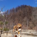 석달열흘가리 이미지