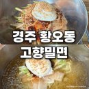 고향맛집 | 경주 황오동 맛집 추천 | 고향밀면 본점 후기