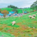 전천목장 이미지