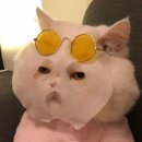 레오아에스테틱