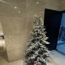 씨하이호텔 | 오이도🗼바다뷰 호텔추천 씨하이호텔 🐚 조개구이거리 걸어서 1분❗️ 내돈내산 숙박 후기 🌊