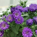 곤지암독일보청기 이미지