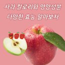 사과 칼로리 및 영양성분 이미지
