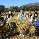 도봉초교 이미지