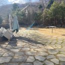포레스트H
