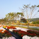 광산3리마을회관 이미지