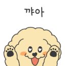 휴먼앤펫