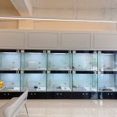 306 퍼피 이미지