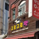 고로고로펫 이미지