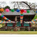 신안사로 이미지