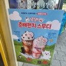 빽다방교보 | 빽다방 키캡 200원! 고양이 키캡 득템 후기 / 빽다방 초코스무디