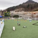 더리조트멍 | 더리조트멍 11.26 내돈내산 후기