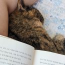 맥락 없는 일상 공유^^