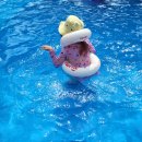 율이네농장 이미지