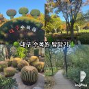 동이면사무소 | [대구] 가을날 산책하기 좋은 "대구수목원"