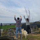 라라하귀 이미지