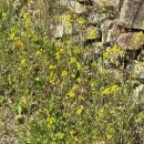 사천 | 봄맞이 남해 여행(사천 아르떼 리조트 내돈내산 후기 NOL)