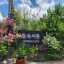 시나몬펜션 | 경기도 양평 펜션 근처 힐링 카페 숲속서종 추천 후기