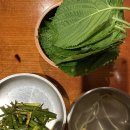 신월닭집 | [을지로 맛집] 화육계(火肉鸽), 민생회복쿠폰 사용 가능 여부/관광객이 찾는 닭발 맛집 웨이팅 후기_250726