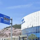 영진카 | 엄마랑 4월 2박3일 여행 강릉 묵호 코스 추천 후기(감자유원지,안목해변,경포호,육영탕수육,오핑하우스...