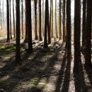 맛있는 집밥요리 이미지