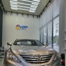 더모터스 이미지