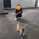몬떼뷰스테이 이미지
