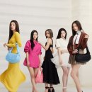코아패션 이미지