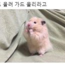 오후3시 이미지