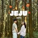 UR(서귀포시)-[남조로]-상-5 | [제주] 3박 4일 제주도 여행 · 3일차