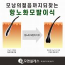 모앤블레스의원 이미지