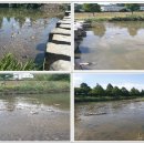 수영강 세월교 이미지