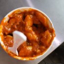 비발디렌통령 | 홍천 비발디파크 스키장 개장, 비발디렌통령 스키대여 후기