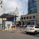새터미널약국 네이버블로그
