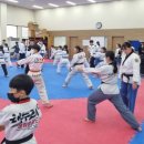 동아대 태권도 이미지