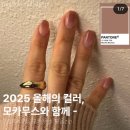 오하뷰티스튜디오 이미지
