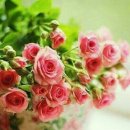 해피스마일 이미지