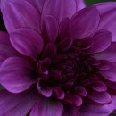 노래 부르는 영어 이미지