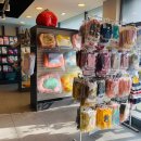 친절한 동물병원 이미지