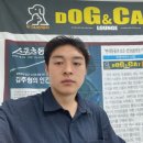 도그앤캣 이미지